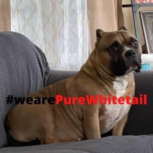 Meet your Posher, Nathan